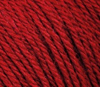Пряжа Gazzal Baby wool Gazzal (816 т.красный)
